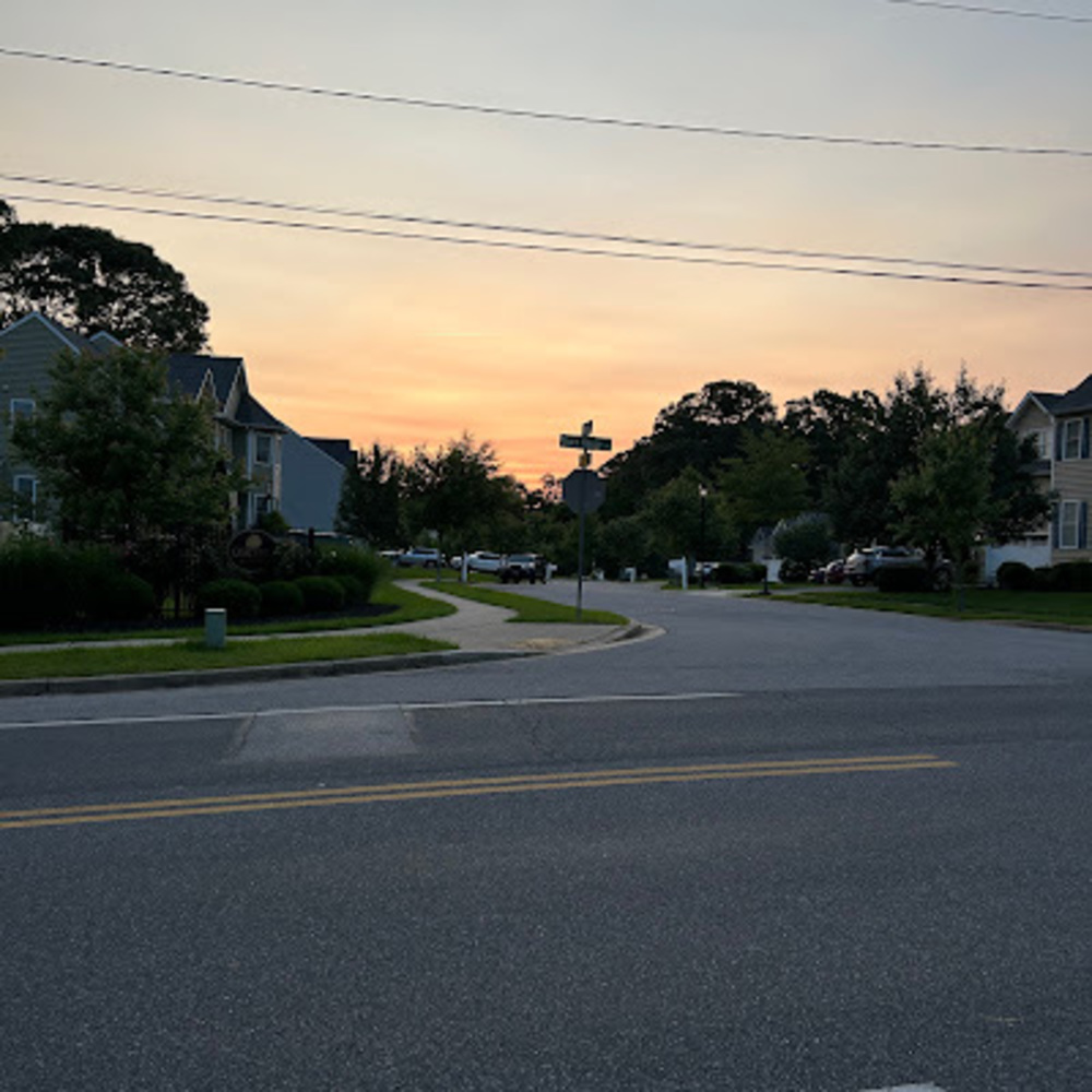 Meet your Posher, Brynn